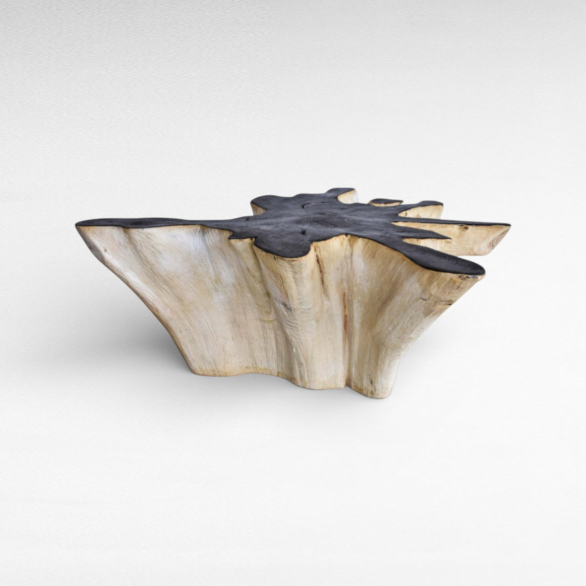 COFFEE TABLE BLEACHED & BLACK W110 |D100 |H45