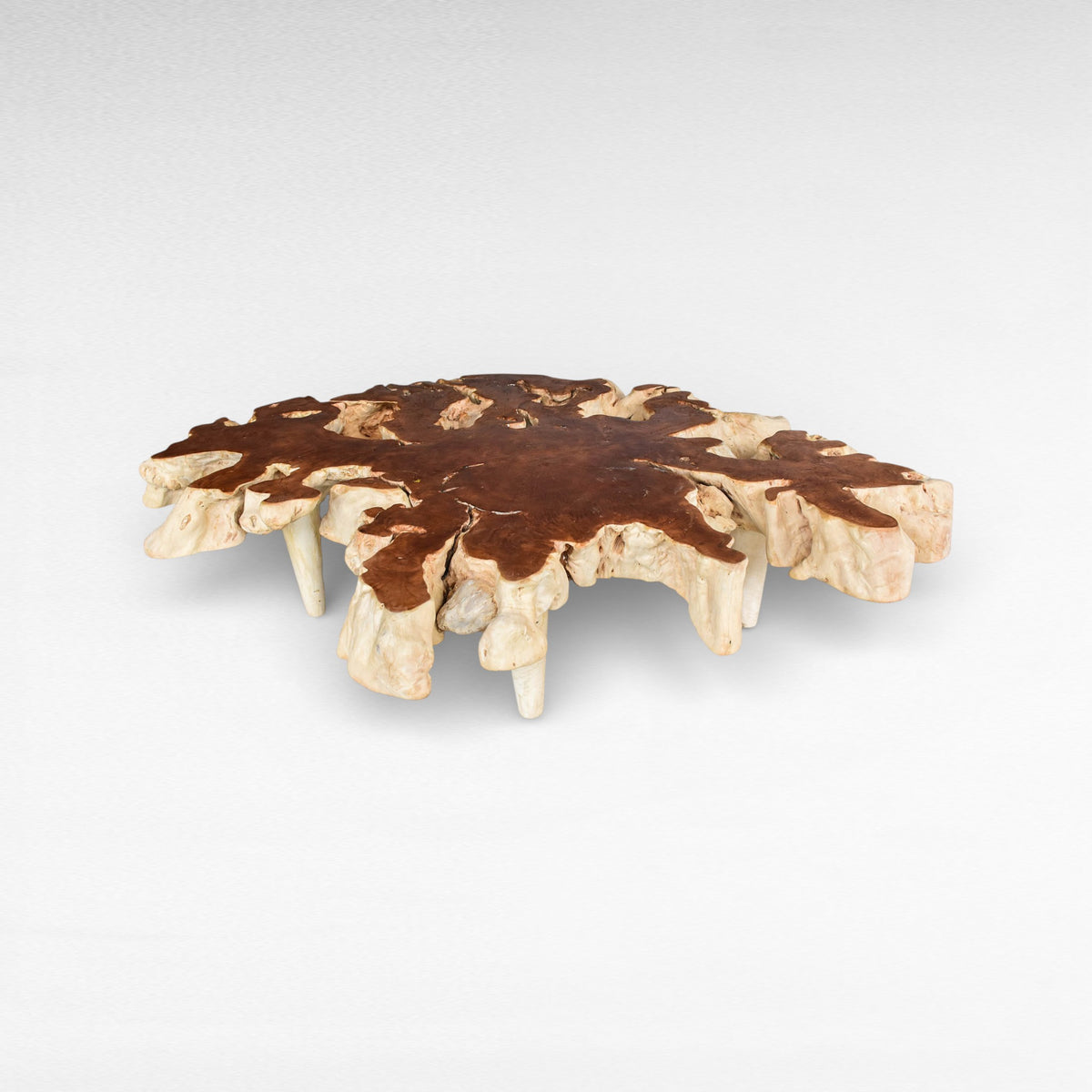 NATURAL COLOR LYCHEE COFFEE TABLE W150 |D100 |H45 cm