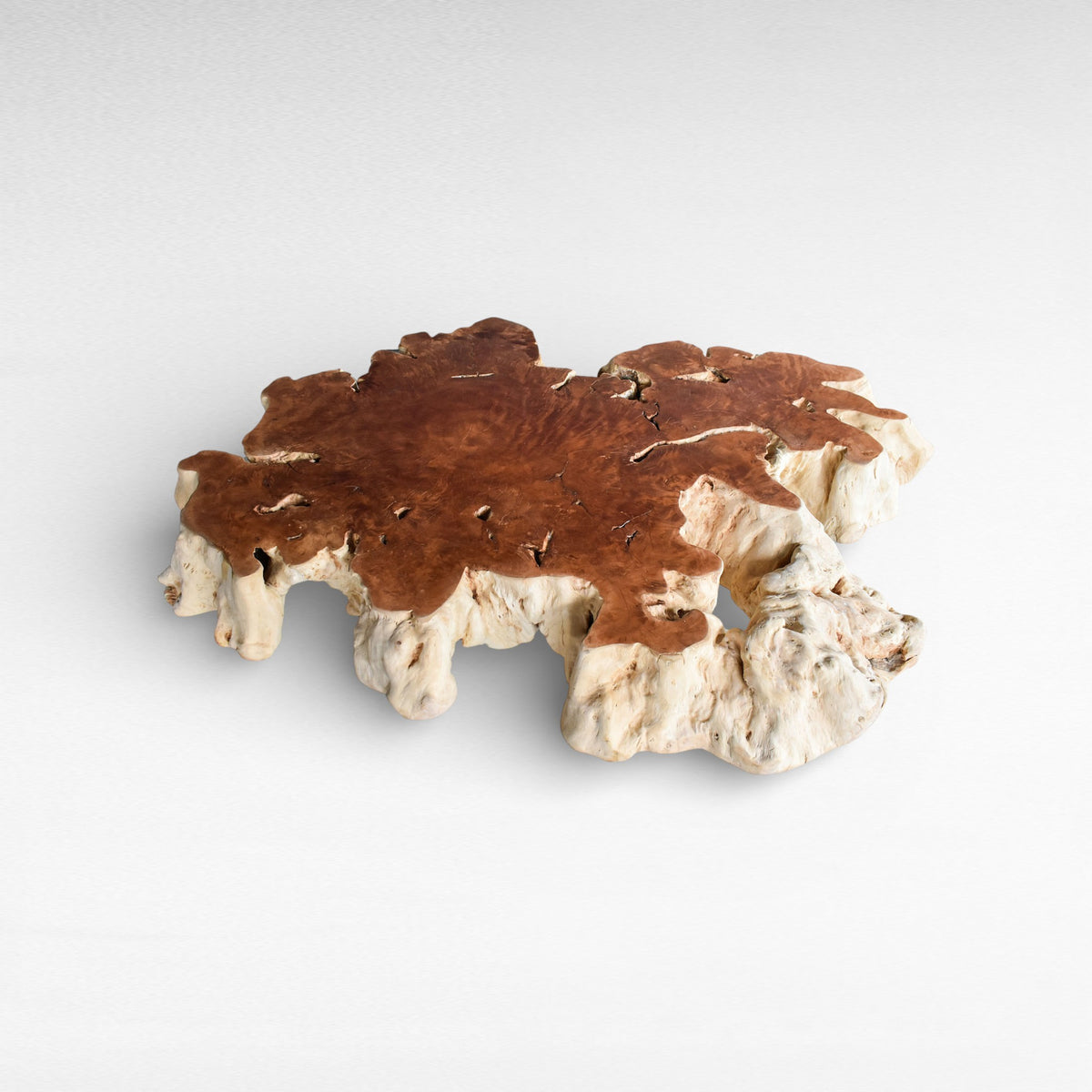 NATURAL COLOR LYCHEE COFFEE TABLE W150 |D100 |H45 cm