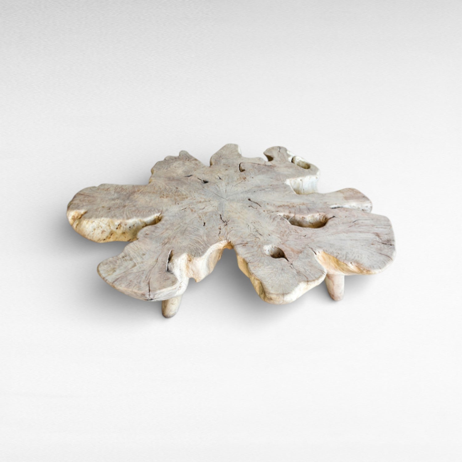 BLEACHED COFFEE TABLE EUPHORIA LONGANA WOOD W170  |D170 |H45 cm