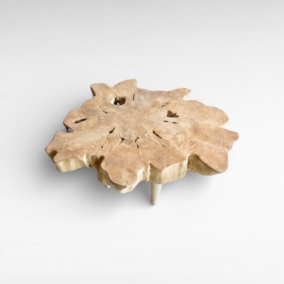 LYCHEE WOOD BLEACHED W105  |D85  |H45 cm