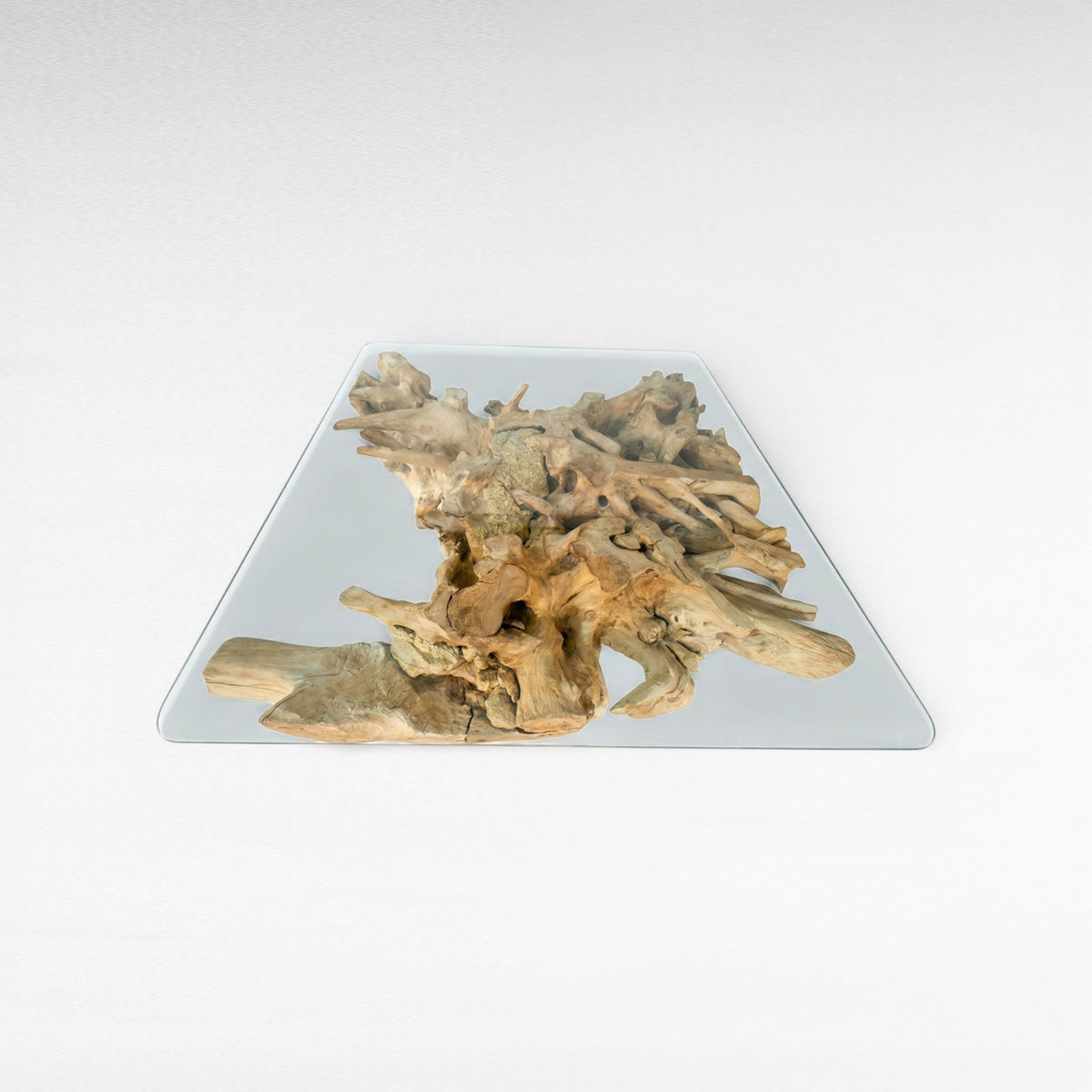 ROOT COFFEE TABLE