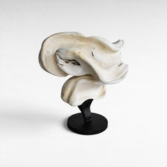 SCULPTURED WOOD BLEACHED DECO - Chora Mykonos