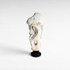 SCULPTURE WOOD BLECHED DECO 50x35x120cm - Chora Mykonos