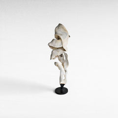SCULPTURE WOOD BLEACHED DECO 55x55x220cm - Chora Mykonos