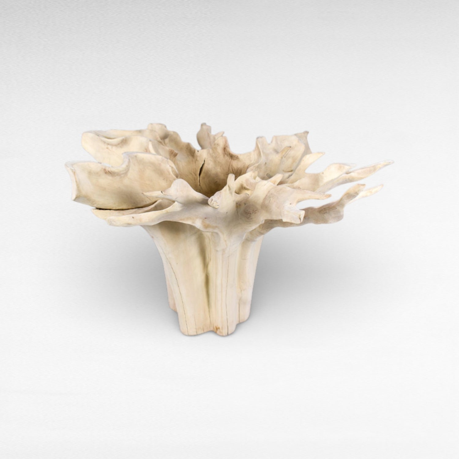 ROOT DINING TABLE WITH GLASS Φ120 |H80 cm
