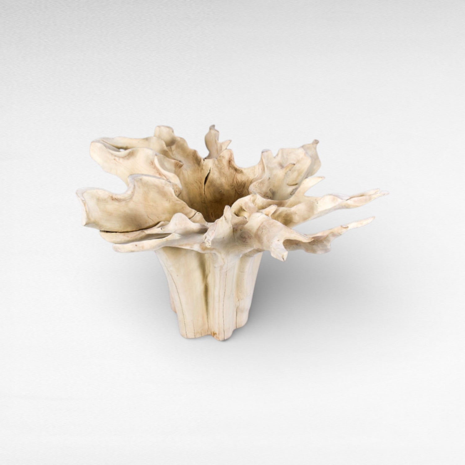 ROOT DINING TABLE WITH GLASS Φ120 |H80 cm