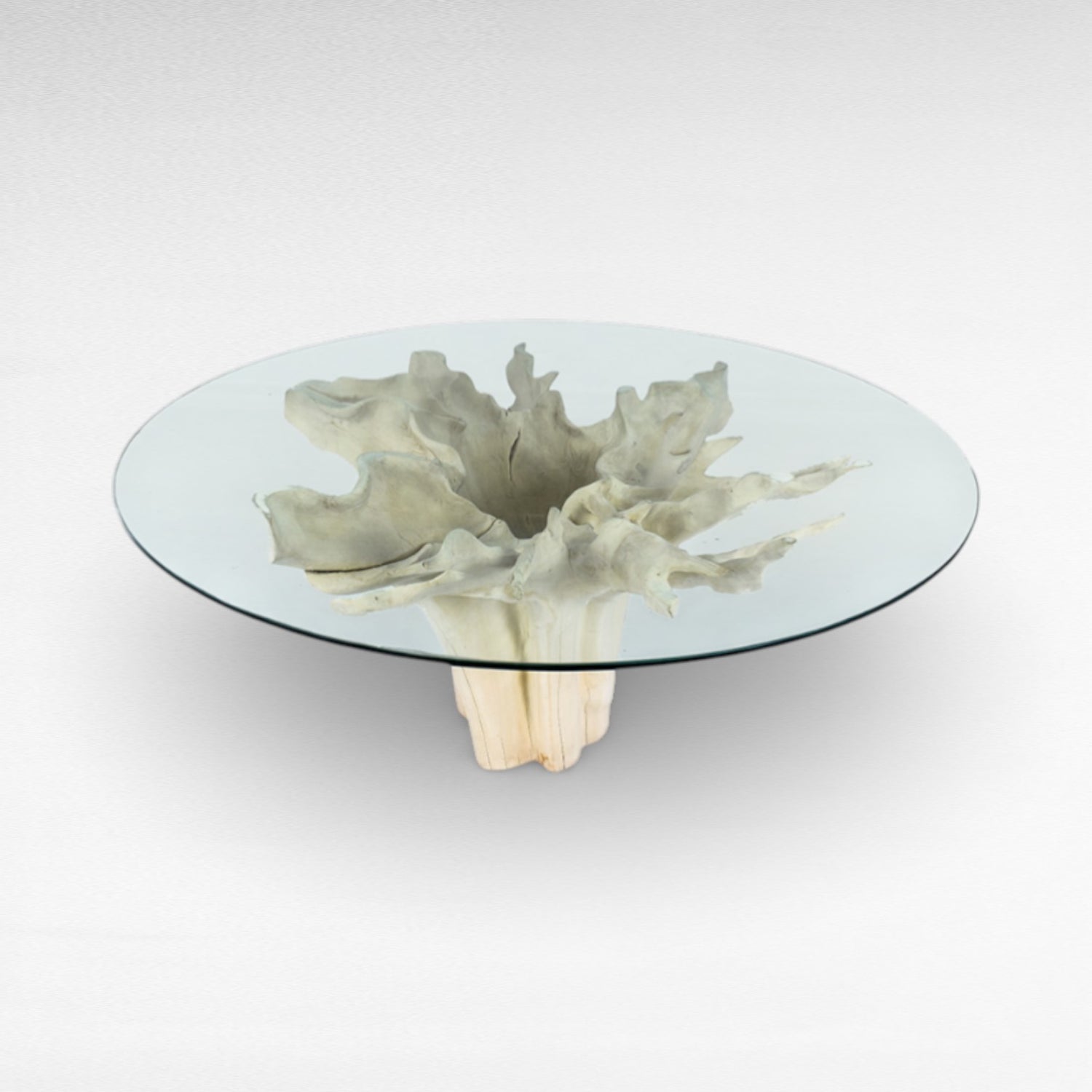 ROOT DINING TABLE WITH GLASS Φ120 |H80 cm