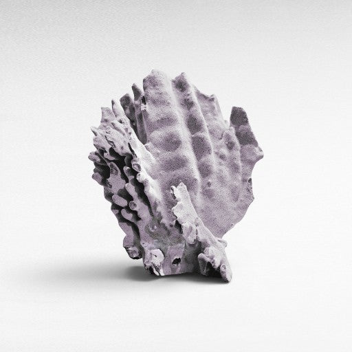 DECORATIVE SEA CREATURES