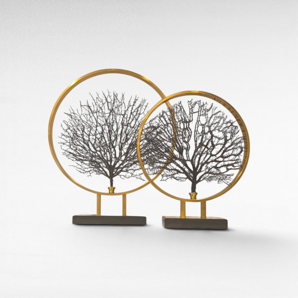 CORALS IN A CIRCLE SET OF 2