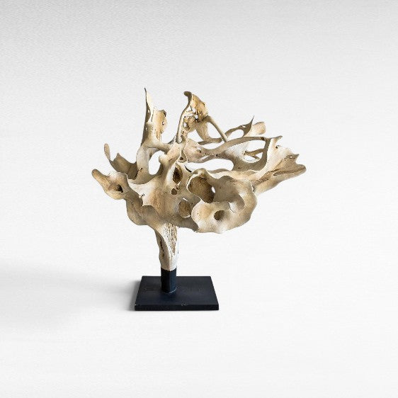 BLEACHED TEAK DECO ON BASE - Chora Mykonos