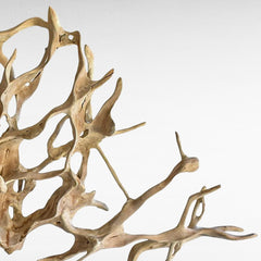 BLEACH TEAK WOOD ROOT DECOR 290x50x252cm - Chora Mykonos