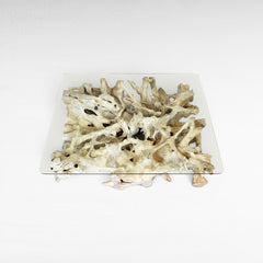 Chora Barefoot Luxury Living bleached driftwood coffee table with clear glass top, organic sculptural base.