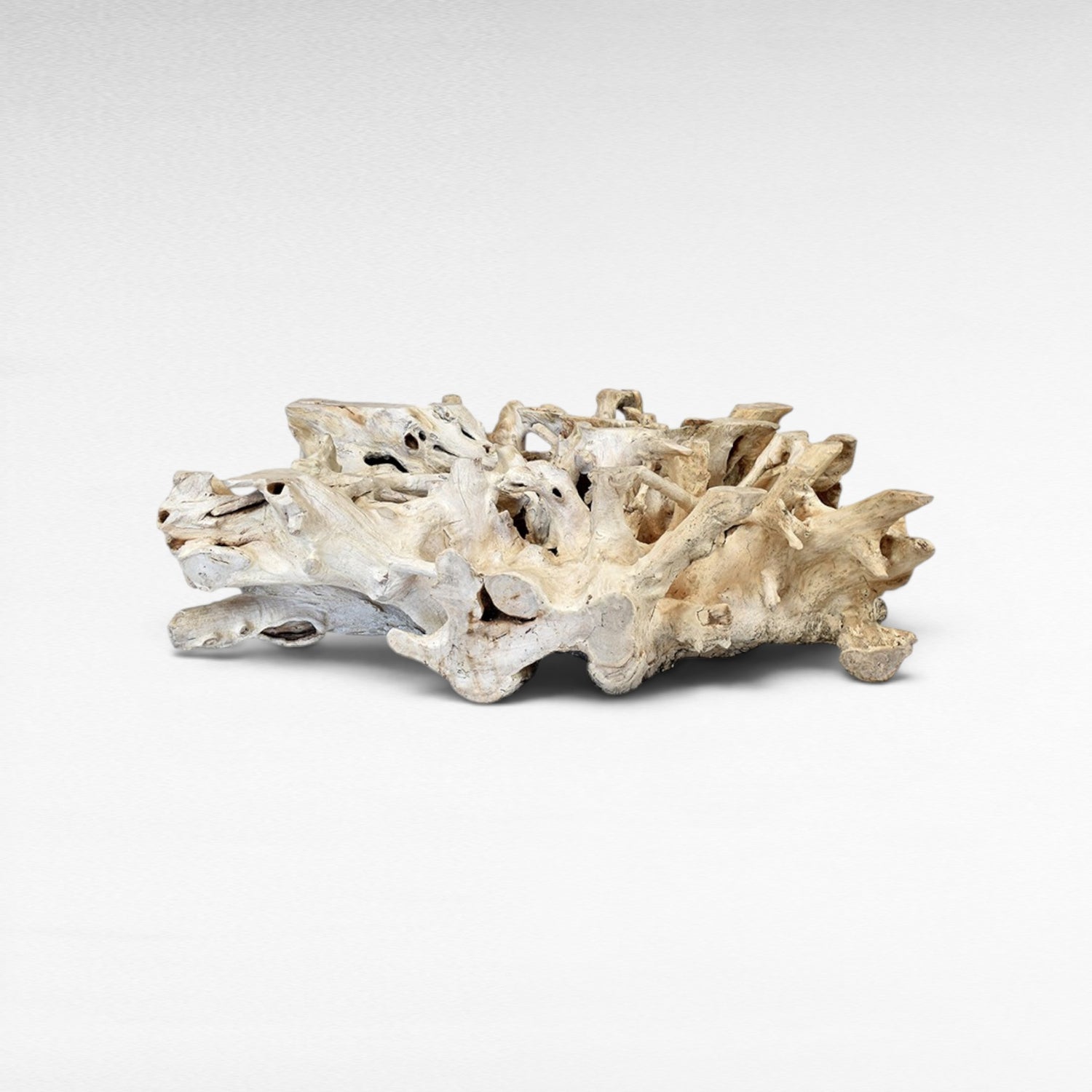 Chora Barefoot Luxury Living bleached driftwood coffee table with glass top, natural organic shape, W120 D140 H45 cm