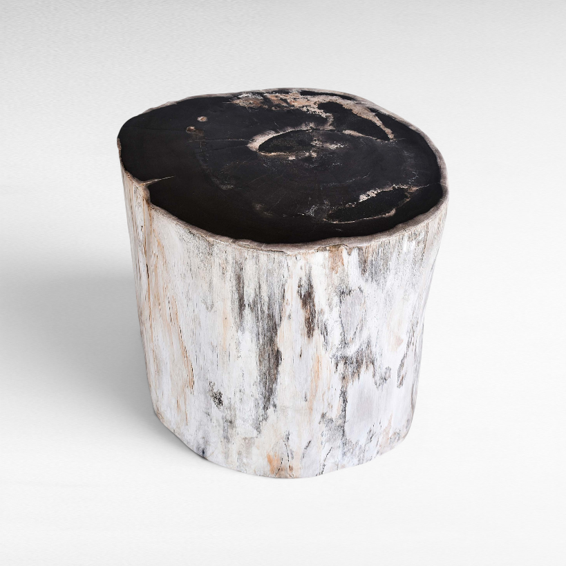 Chora Barefoot Luxury Living petrified wood stool with a natural white bark exterior and polished black top surface.