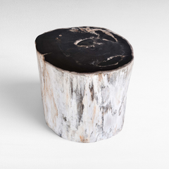 Chora Barefoot Luxury Living petrified wood stool with a natural white bark exterior and polished black top surface.