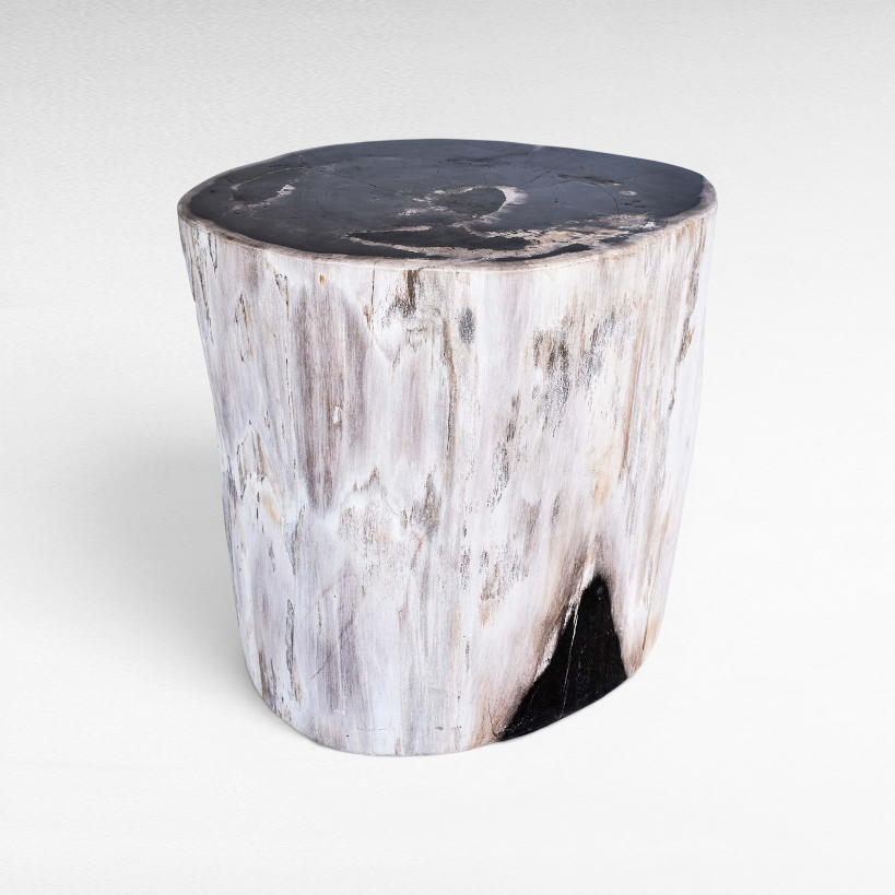 Chora Barefoot Luxury Living petrified wood stool with a natural white and black polished finish on a white background.
