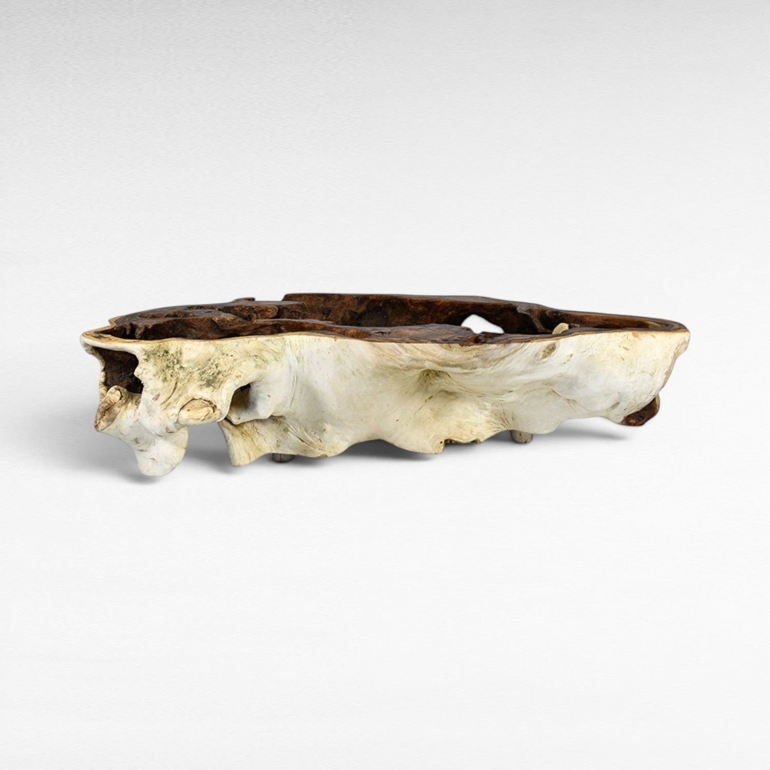 Chora Barefoot Luxury Living natural suar wood coffee table with organic shape and rough texture.