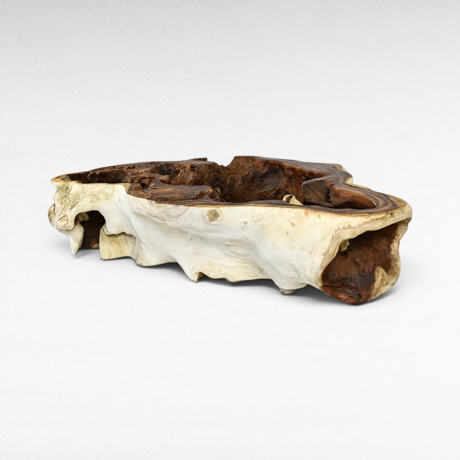 Chora Barefoot Luxury Living natural suar wood coffee table with organic shape and contrasting light and dark wood tones.