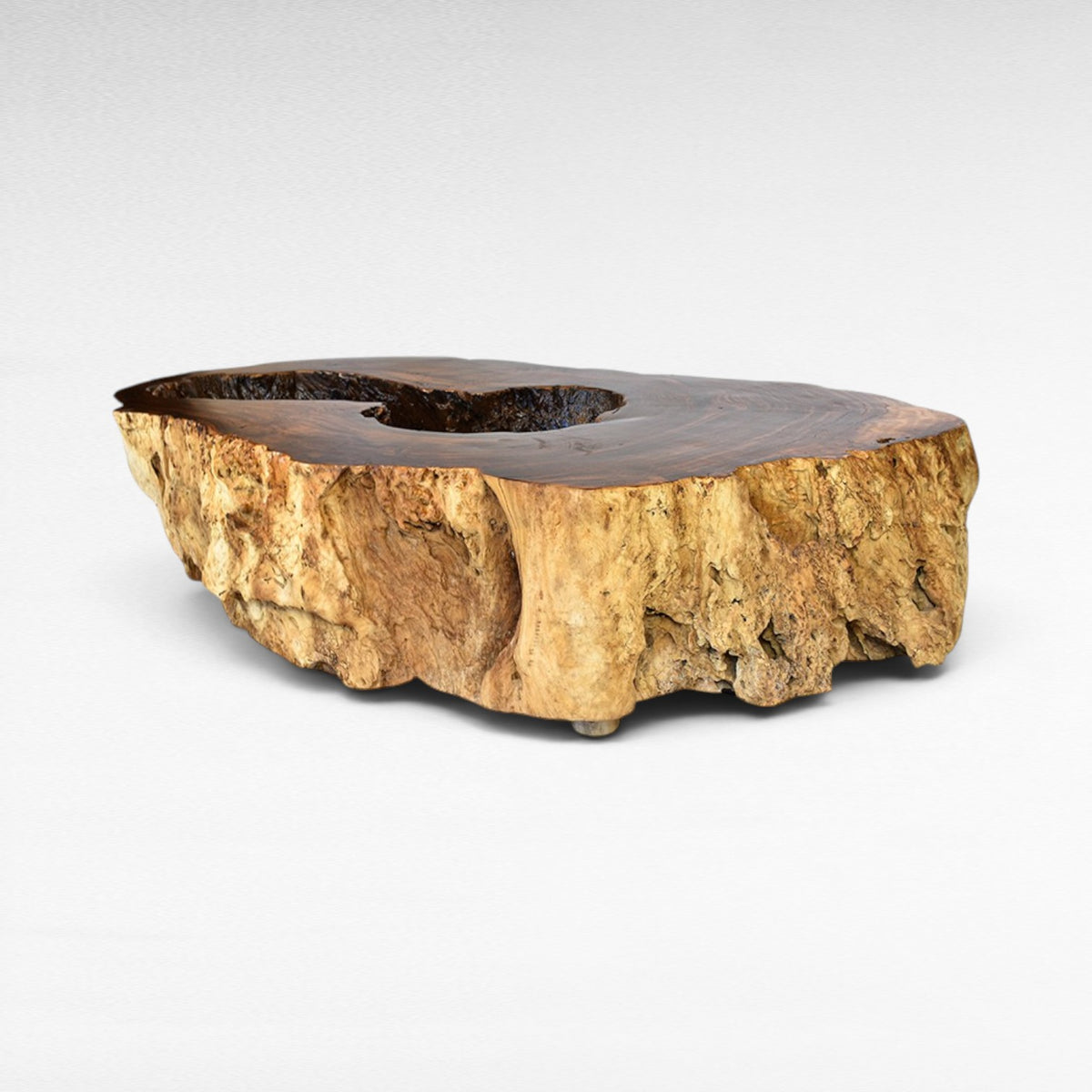 Chora Barefoot Luxury Living natural suar wood coffee table with hollow center and rough bark base. Warm brown tones.