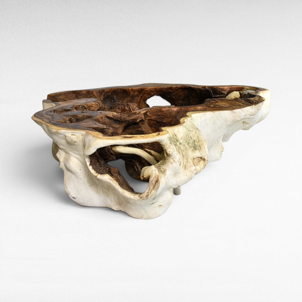Chora Barefoot Luxury Living natural suar wood coffee table with organic, hollowed-out design and rough-hewn edges.