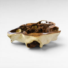 Chora Barefoot Luxury Living natural suar wood coffee table with organic, hollowed-out design and varied wood grain.