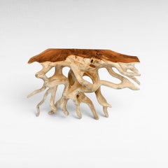 Chora Barefoot Luxury Living console table made of natural suar wood with a live edge top and intricate root base.