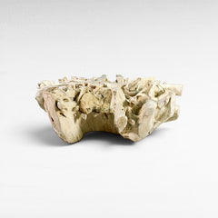 Chora Barefoot Luxury Living natural teak root coffee table with rough, organic texture and light wood finish.