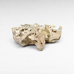 Chora Barefoot Luxury Living natural teak wood coffee table with organic, sculptural form and rough texture.