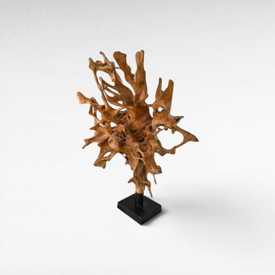ROOT ON STAND