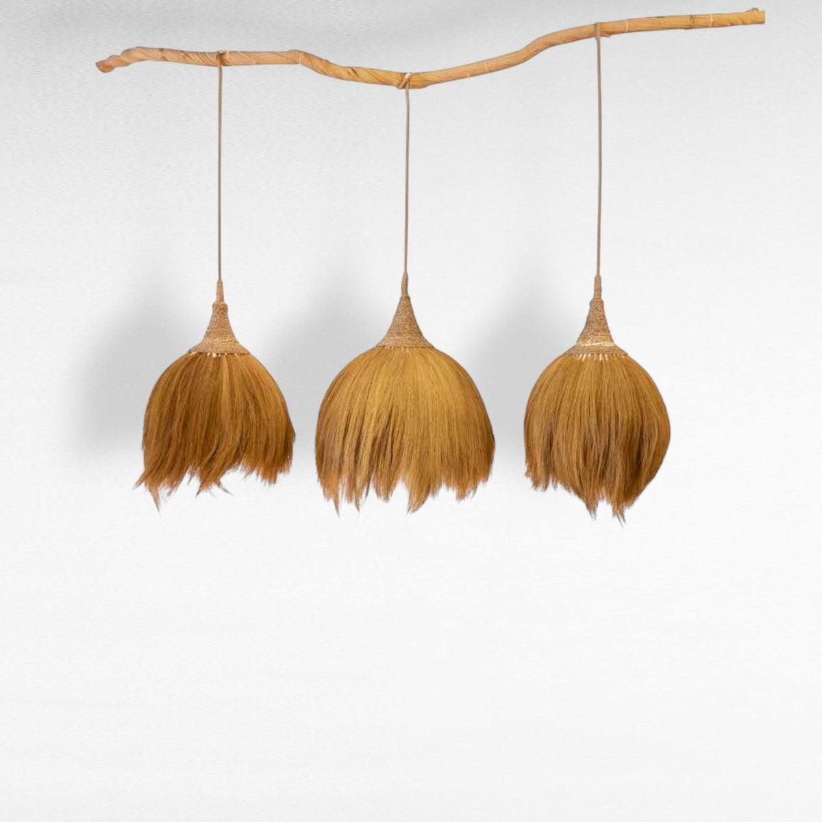 DRIED RICE PLANT STALKS Φ30 |H40 cm
