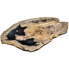 PETRIFIED WOOD PLATE 50x35x3cm - Chora Mykonos