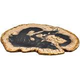 PETRIFIED WOOD PLATE - Chora Mykonos