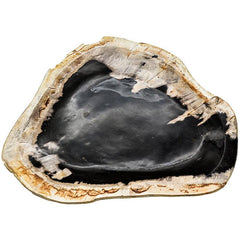 PETRIFIED WOOD PLATE 25x23x1cm - Chora Mykonos