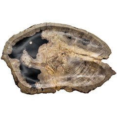 PETRIFIED WOOD PLATE 50x35x3cm - Chora Mykonos